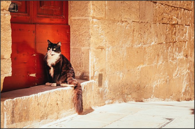 Malta 2018